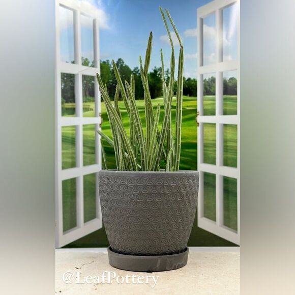 Atasi Gray Concrete Planter Pot with Saucer Attached - Picture 1 of 11